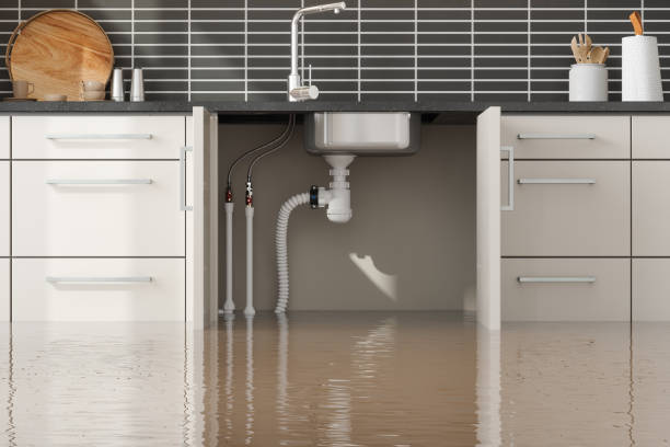 Best Professional water damage repair  in Brogden, NC