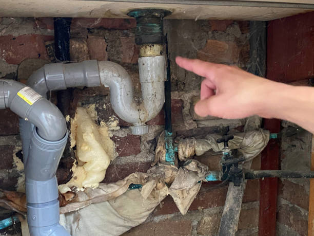  Brogden, NC Water damage restoration Pros