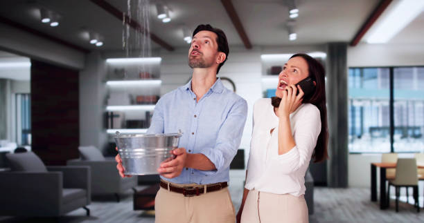 Best Carpet water damage restoration  in Brogden, NC